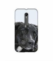 Amazon Brand - Solimo Designer Labrador Dog 3D Printed Hard Back Case Mobile Cover for Motorola Moto G 3rd Generation