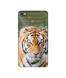 Amazon Brand - Solimo Designer Tiger in Water 3D Printed Hard Back Case Mobile Cover for Micromax Canvas Sliver 5 Q450