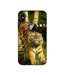 Amazon Brand - Solimo Designer Tiger 3D Printed Hard Back Case Mobile Cover for Apple iPhone X (Logo Cut)