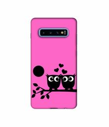 Amazon Brand - Solimo Designer Love Birds Vector 3D Printed Hard Back Case Mobile Cover for Samsung Galaxy S10 Plus