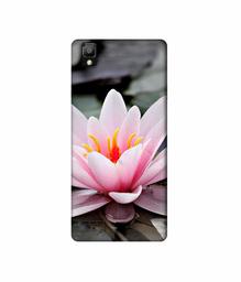 Amazon Brand - Solimo Designer Lotus 3D Printed Hard Back Case Mobile Cover for Oppo A35