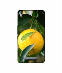 Amazon Brand - Solimo Designer Lemon 3D Printed Hard Back Case Mobile Cover for Micromax Canvas Juice 3Plus Q394