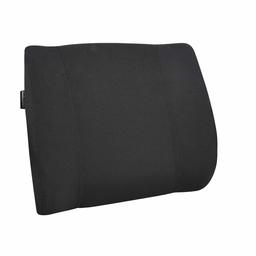 AmazonBasics Memory Foam Lumbar Support Pillow - Black, Paneled