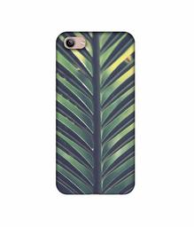 Amazon Brand - Solimo Designer Leaf Texture 3D Printed Hard Back Case Mobile Cover for Vivo Y81i