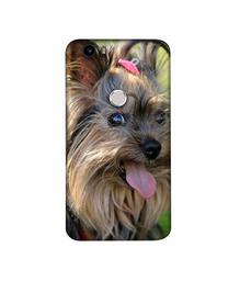 Amazon Brand - Solimo Designer Hairy Puppy 3D Printed Hard Back Case Mobile Cover for Nexus 6P