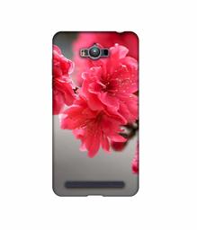 Amazon Brand - Solimo Designer Blossom Like Flower 3D Printed Hard Back Case Mobile Cover for Asus Zenfone Max ZC550KL