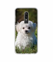 Amazon Brand - Solimo Designer White Dog UV Printed Soft Back Case Mobile Cover for OnePlus 6