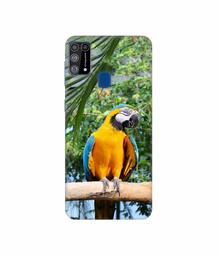 Amazon Brand - Solimo Designer Macaw Bird 3D Printed Hard Back Case Mobile Cover for Samsung Galaxy M31