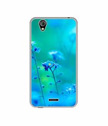 Amazon Brand - Solimo Designer Blue Flower UV Printed Soft Back Case Mobile Cover for Gionee P5 Mini