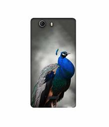 Amazon Brand - Solimo Designer Peacock 3D Printed Hard Back Case Mobile Cover for Micromax Canvas Nitro 2 E311