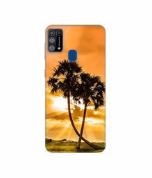 Amazon Brand - Solimo Designer SunSide View 3D Printed Hard Back Case Mobile Cover for Samsung Galaxy M31