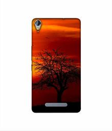 Amazon Brand - Solimo Designer Nature View 3D Printed Hard Back Case Mobile Cover for Micromax Canvas Juice 3Plus Q394