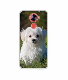 Amazon Brand - Solimo Designer White Dog UV Printed Soft Back Case Mobile Cover for Comio X1