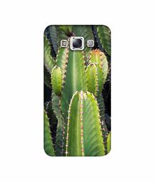 Amazon Brand - Solimo Designer Desert Plant 3D Printed Hard Back Case Mobile Cover for Samsung Galaxy E7