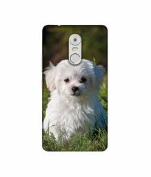 Amazon Brand - Solimo Designer White Dog 3D Printed Hard Back Case Mobile Cover for Lenovo K6 Note