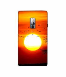 Amazon Brand - Solimo Designer Sunset View 3D Printed Hard Back Case Mobile Cover for OnePlus 2