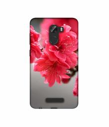 Amazon Brand - Solimo Designer Blossom Like Flower 3D Printed Hard Back Case Mobile Cover for Gionee A1 Lite