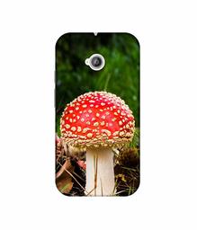 Amazon Brand - Solimo Designer Red Mushroom 3D Printed Hard Back Case Mobile Cover for Motorola Moto E 2nd Generation