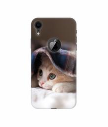 Amazon Brand - Solimo Designer Sleepy Kitten 3D Printed Hard Back Case Mobile Cover for Apple iPhone XR (Logo Cut)