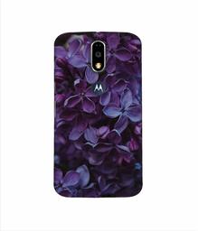 Amazon Brand - Solimo Designer Purple Flowers 3D Printed Hard Back Case Mobile Cover for Motorola Moto G4 Plus (with Logo Cut)