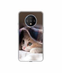 Amazon Brand - Solimo Designer Sleepy Kitten UV Printed Soft Back Case Mobile Cover for OnePlus 7T