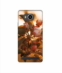 Amazon Brand - Solimo Designer Flowers 3D Printed Hard Back Case Mobile Cover for Lenovo A7700