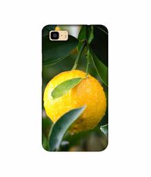 Amazon Brand - Solimo Designer Lemon 3D Printed Hard Back Case Mobile Cover for Asus Zenfone 3S Max