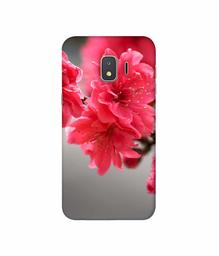 Amazon Brand - Solimo Designer Blossom Like Flower 3D Printed Hard Back Case Mobile Cover for Samsung Galaxy J2 Core