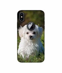 Amazon Brand - Solimo Designer White Dog 3D Printed Hard Back Case Mobile Cover for Apple iPhone X (Logo Cut)