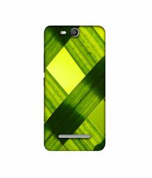 Amazon Brand - Solimo Designer Leafs Texture 3D Printed Hard Back Case Mobile Cover for Micromax Canvas Juice 3 Q392