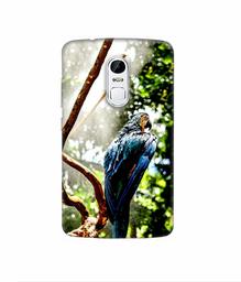 Amazon Brand - Solimo Designer Macaw Parrot 3D Printed Hard Back Case Mobile Cover for Lenovo Vibe X3