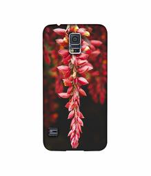 Amazon Brand - Solimo Designer Flowers Photograpy 3D Printed Hard Back Case Mobile Cover for Samsung Galaxy S5 i9600