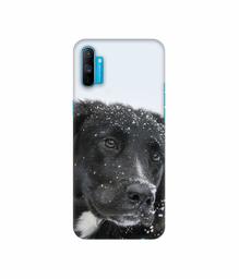 Amazon Brand - Solimo Designer Labrador Dog 3D Printed Hard Back Case Mobile Cover for Realme C3