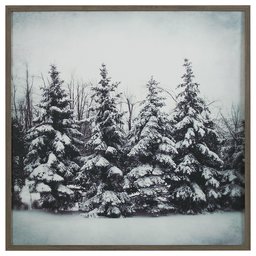 Amazon Brand – Stone & Beam Modern Black and White Print of Forest Snow, Grey Frame, 30