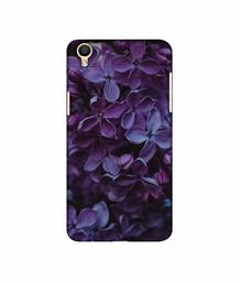 Amazon Brand - Solimo Designer Purple Flowers 3D Printed Hard Back Case Mobile Cover for Oppo F1 Plus