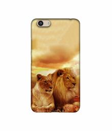 Amazon Brand - Solimo Designer Lion with Lioness 3D Printed Hard Back Case Mobile Cover for Vivo Y53