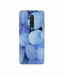 Amazon Brand - Solimo Designer Light Blue Flower Photography 3D Printed Hard Back Case Mobile Cover for OnePlus 7T Pro