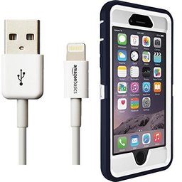 Otterbox Defender Series Case for iPhone 6 and AmazonBasics Lightning Cable (6-Feet) Pack