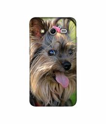 Amazon Brand - Solimo Designer Hairy Puppy 3D Printed Hard Back Case Mobile Cover for Samsung Galaxy Core 2 G355H