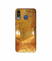 Amazon Brand - Solimo Designer Autumn Scene 3D Printed Hard Back Case Mobile Cover for Samsung Galaxy M21