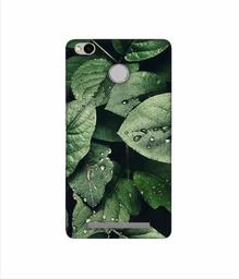 Amazon Brand - Solimo Designer Leafs 3D Printed Hard Back Case Mobile Cover for Xiaomi Redmi 3S Prime