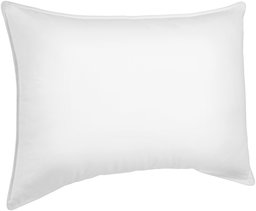 Pinzon Down Alternative Pillow