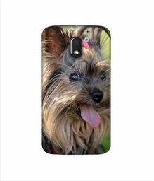 Amazon Brand - Solimo Designer Hairy Puppy 3D Printed Hard Back Case Mobile Cover for Motorola Moto E (3rd gen)