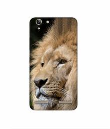 Amazon Brand - Solimo Designer Lion 3D Printed Hard Back Case Mobile Cover for Lenovo Vibe K5 Plus