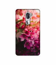 Amazon Brand - Solimo Designer Blossom Weather 3D Printed Hard Back Case Mobile Cover for Coolpad Cool1 Dual