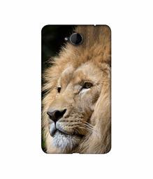 Amazon Brand - Solimo Designer Lion 3D Printed Hard Back Case Mobile Cover for Microsoft Lumia 650