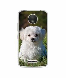 Amazon Brand - Solimo Designer White Dog UV Printed Soft Back Case Mobile Cover for Motorola Moto C Plus