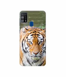 Amazon Brand - Solimo Designer Tiger in Water 3D Printed Hard Back Case Mobile Cover for Samsung Galaxy M31