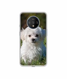 Amazon Brand - Solimo Designer White Dog UV Printed Soft Back Case Mobile Cover for OnePlus 7T