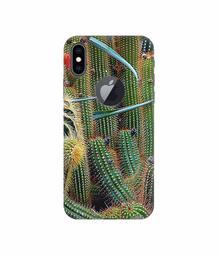 Amazon Brand - Solimo Designer Cactus 3D Printed Hard Back Case Mobile Cover for Apple iPhone Xs Max (Logo Cut)